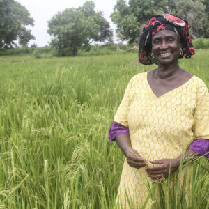 Formazione professionale per un futuro sostenibile 