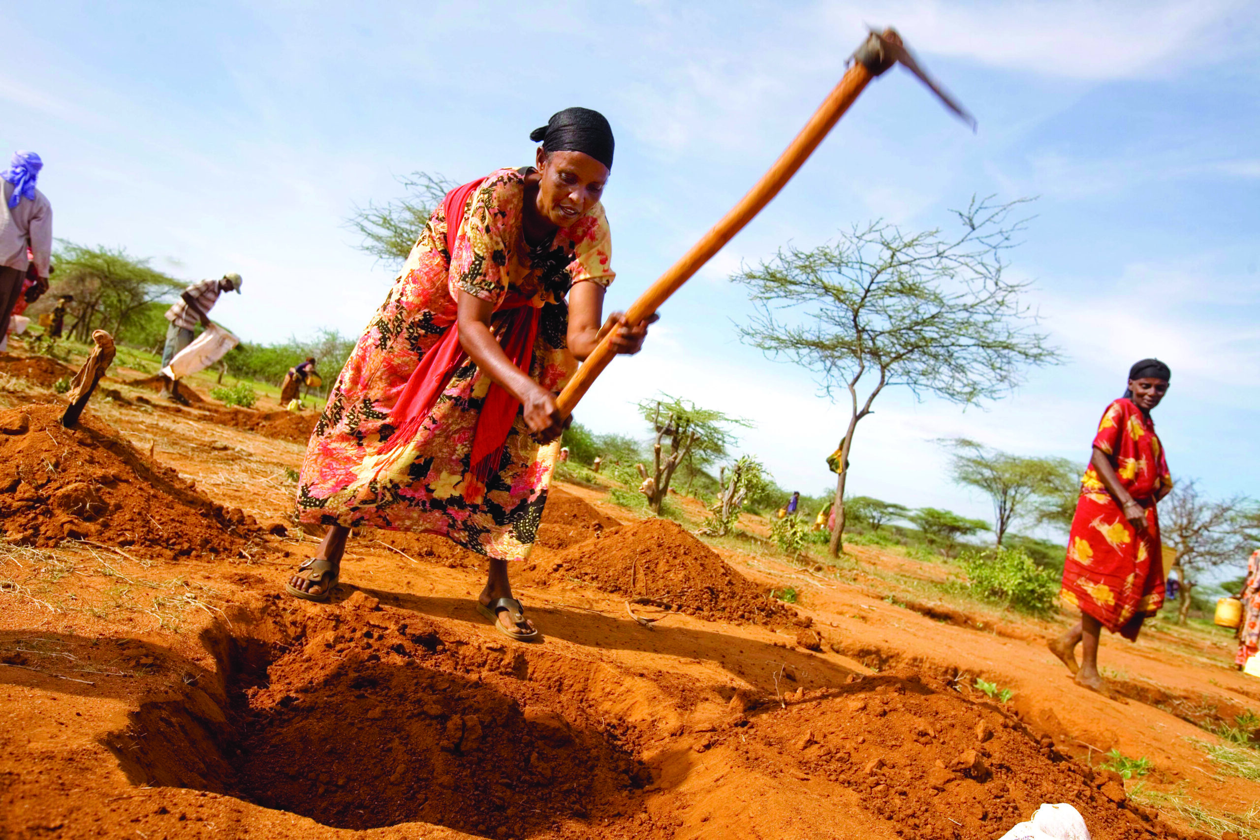 Formazione tecnica per giovani agricoltori